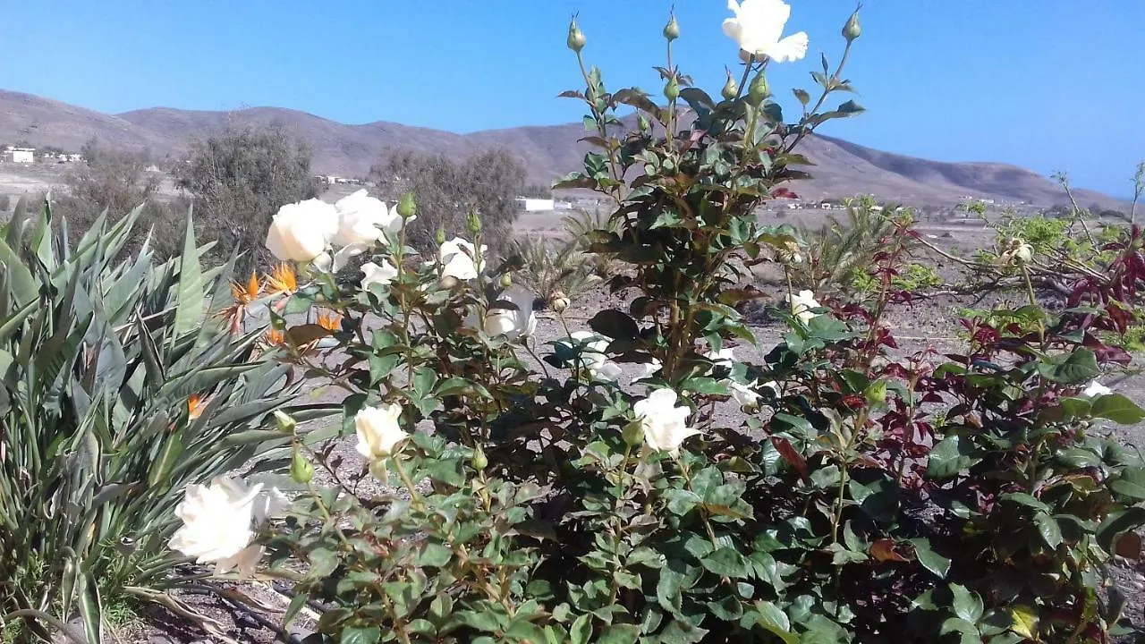 Finca Los Rosales Lajita 0*,  España